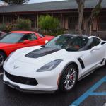 Cambria_0064 (November 04, 2017)